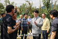 사과나무 ‘평면재배' 선보여!...노동력 1/20 혁신적 절감 기대