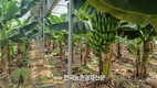 농촌진흥청 내년 예산 1조 1,052억원 0.7%↑