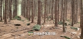 산림청 예산안 2조 6,246억 원 편성