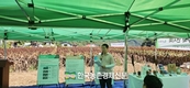 '수수' 신품종 기계 수확!