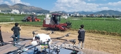 디지털육종 '노지스마트팜' 콩 증산효과 확인!...