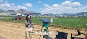 디지털육종 '노지스마트팜' 콩 증산효과 확인!...