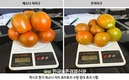 메소나, 세계 농지 염류집적 해결책 ‘눈도장’