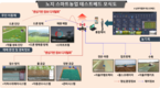 디지털육종 '노지스마트팜' 콩 증산효과 확인!...
