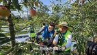농협, ㈜한진과 수확기 '농촌일손돕기' 맞손