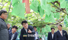 포도 '품종 다변화'로 수출시장 뚫기로