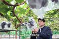 포도 '품종 다변화'로 수출시장 뚫기로