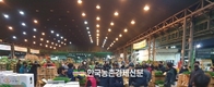 가락시장, '알배추' 11월부터 파렛트 출하해야