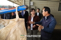 쌀 20만톤 시장격리...수확기 산지쌀값 잡아라!