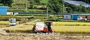 쌀 재고과잉 고민!...'쌀 소비 트렌드' 분석 보고서 눈길