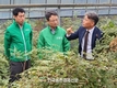 임산물 ‘감초’ 고부가가치화로 매출 ‘쑥쑥’