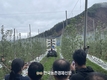 농진원, 과수재배 '자율주행 로봇' 연시회 열려