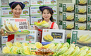 ‘HACCP 인증 절임 배추’ 사전 예약!