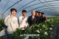 강호동 농협중앙회장, 진주 딸기 재배농가 현장 점검