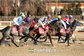 11월 경주마 주목?...경마 시행계획 발표