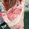 농협사료 이용농가들 한우능력평가대회 수상 휩쓸어