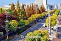 산림청, 올해 모범 도시숲 5곳 선정
