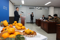 '감풍' 단감 신품종 보급에 박차