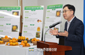 '감풍' 단감 신품종 보급에 박차