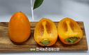 '감풍' 단감 신품종 보급에 박차