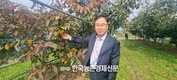 '감풍' 단감 신품종 보급에 박차