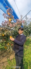박정관 국립원예특작과학원 원예작물부장 현장 인터뷰