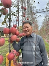 대표과일선발대회...각 품목별 수상자 발표 시상