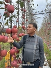 대표과일선발대회...각 품목별 수상자 발표 시상