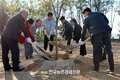 '꿀벌' 밀원수 심어 좋은 환경 만든다!