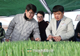양파 ‘노지 스마트팜 기술’ 화제…무인 영농시대 활짝!