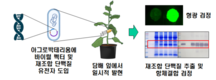식물바이러스로 만든 가축용 백신, ‘산업화’ 임박