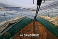폭설피해 눈덩이!...
