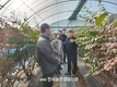 농촌진흥청-기상청, 겨울철 폭설 피해 최소화 사전 대응 주력