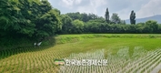 농식품부 새해 어떻게 달라지나?...농림축산식품분야 2025년 달라지는 주요 제도!