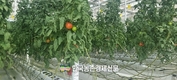 농식품부 새해 어떻게 달라지나?...농림축산식품분야 2025년 달라지는 주요 제도!