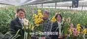 국내 육성품종 '심비디움'...