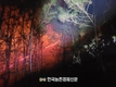 '산불' 치명적인 재난!...선제적 예방 대응