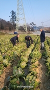 가락시장 대아청과 