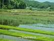 농어촌청소년육성재단, 학교밖청소년 장학생 선발 지원