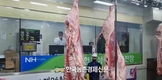 한우협회 성명 