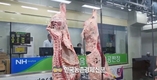 한우협회 성명 