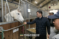 한국마사회-축산과학원, 국산 '말 조사료' 열풍건초 품질개선에 박차