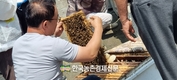 농진청, 양봉 학계와 꿀벌 연구협력...‘국내 양봉산업 역량 키운다’