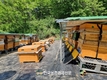 농진청, 양봉 학계와 꿀벌 연구협력...‘국내 양봉산업 역량 키운다’