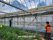 온실 에너지 10% 절약...'젬스' 신기술 개발 화제