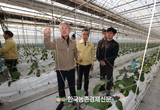 강호동 농협중앙회장, 가지 생산농가 찾아 생육상황 점검
