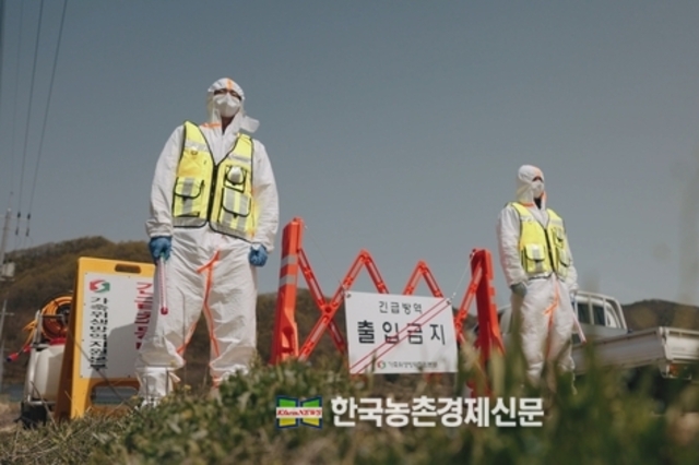 가축방역 "정부 주도에서 지역-민간 중심 전환하겠다"