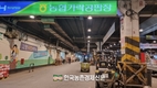 농협공판장, 경매직 신규직원 공채...17일까지 접수
