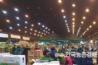 농협공판장, 경매직 신규직원 공채...17일까지 접수