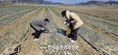 농작물 병해충 조기 발견·확산 차단...‘중앙예찰단’ 가동